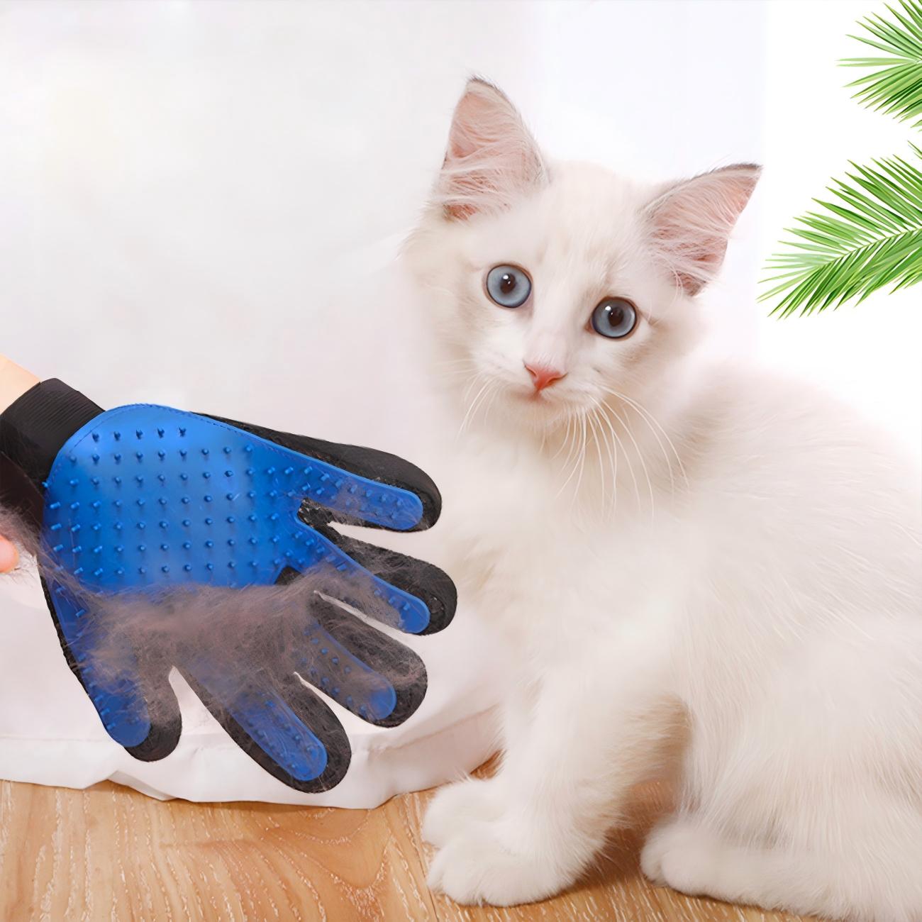 Gant de Toilettage en Silicone pour Animaux